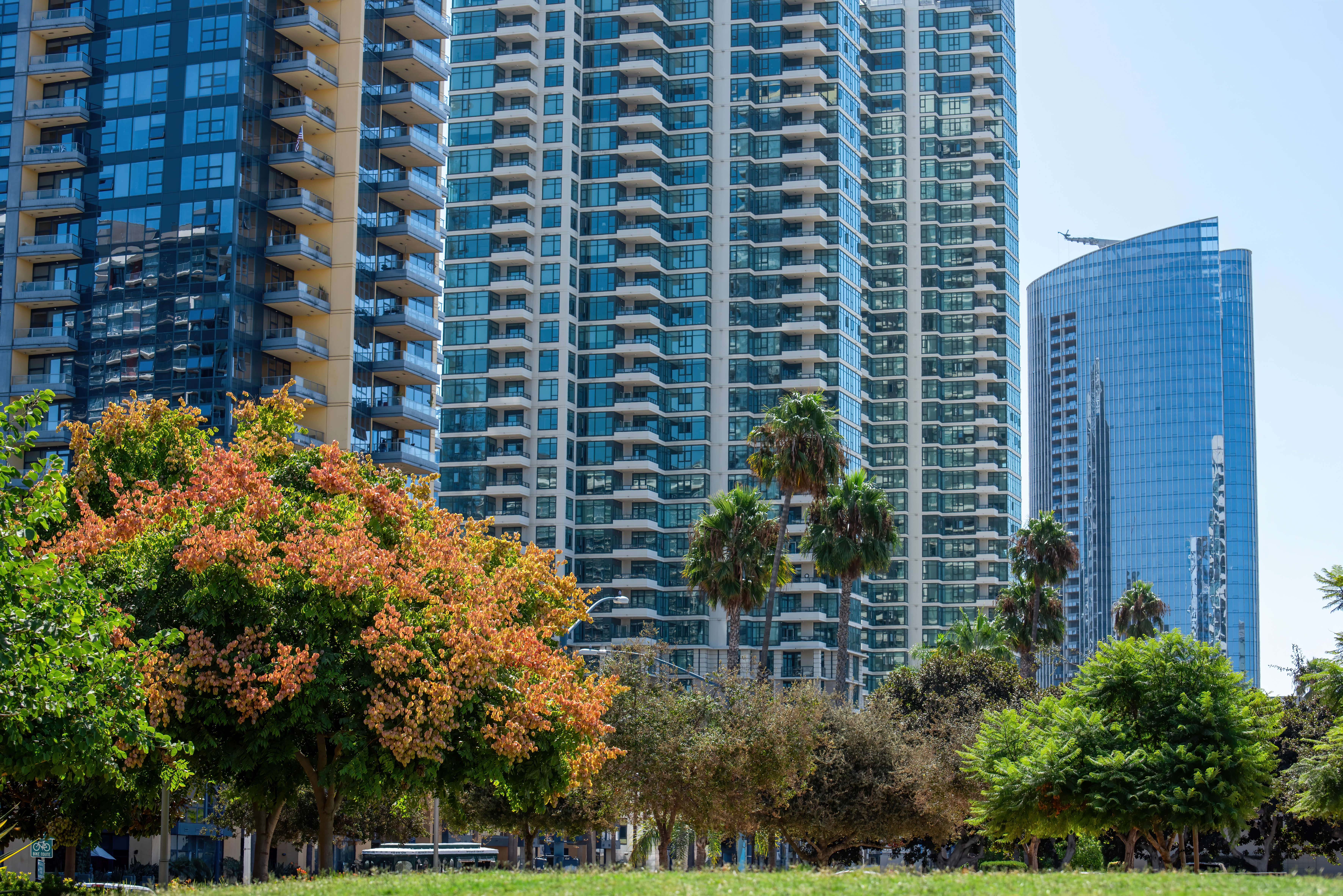 Luxury Living on a Budget: High-End Amenities You Can Get Without Overspending